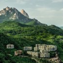 회원동114 | 서울 파라스파라 방문 후기