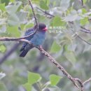 낙동강변26 이미지