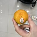 만미(manmi)