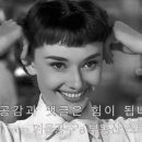 시티공인중개사사무소 이미지