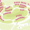 대신오토 이미지