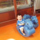 죠이랜드 이미지