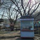 오서산사슴목장 티스토리