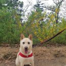 팅커벨하우스 이미지