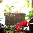 사각하늘 이미지