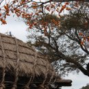 성읍민속마을 이미지