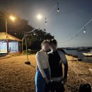 돌고래 | 발리 돌고래 투어 후기｜로비나 돌핀스윔, 물속에서 본 돌고래의 감동
