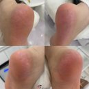 레푸스강남세곡점 이미지