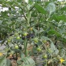 영대농장 이미지