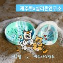 실리콘연구소 이미지