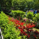 덴티플랜 이미지