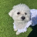 개편한 스쿨 이미지