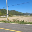 삼산면사무소 이미지