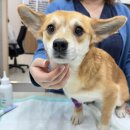 24시부천할인마트 이미지