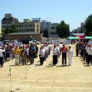 부평서초등학교 이미지