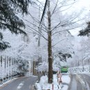 장태울다리 이미지