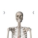 겟바디핏 이미지