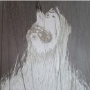 곰씨