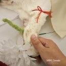 김해추모의공원 제2봉안당 화장실 | 부산 김해 24시 반려동물 장례식장 펫로스케어 후기