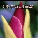 인생역 전 - 북구 | 인생역 전