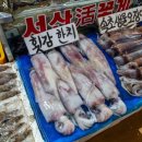 대신수산 이미지
