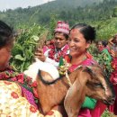 마산가축병원 이미지