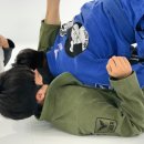 본  주짓수 유도 이미지