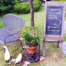 낙조11번가 이미지