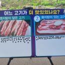 고기6