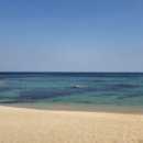 바우가든 이미지