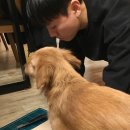 피치스주유소 빙고점 | 사담이 풍성하게 담긴 부산 마우스 북페어 후기