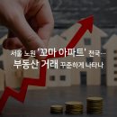 서울 노원구 부동산 '꼬마 아파트' 천국???? 이미지