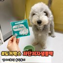 저단50 | 강아지화식 췌장화식 신장화식 도거박스 저단저지 샘플백