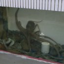 광주횟집 | 일곡동 맛집) 푸짐한 가성비 좋은 광주 횟집 해안선 후기.