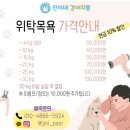 착한셀프 이미지