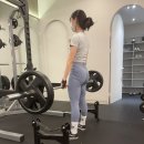 스타휘트니스 246 이미지