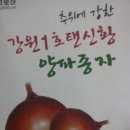 양파 모종 예약 접수 종료 합니다. 이미지