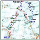 길가축인공수정소 | 강원도 정선 백석봉(白石峰)과 항골 숨바우길 따라간 여름산행길