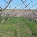 제갈농장 이미지