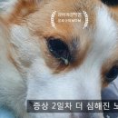 동물병원 더 메이 이미지