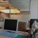 중앙헬스클럽 이미지