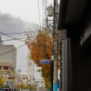 청포수족관