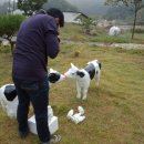 벧엘산업 이미지