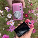 낙동강체육공원 관리사무소 이미지