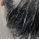 구포3동-4 | 구포3동미용실두피케어추천