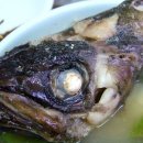 수원-1627 이미지