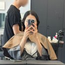 이프헤어 | <청주 미용실> 오송미용실 추천, 모던이프헤어스튜디오 브라운 톤다운 염색 후기