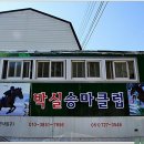 박실승마체험장