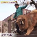 짱오농장 이미지