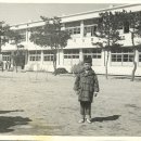 발라댕 Daum카페